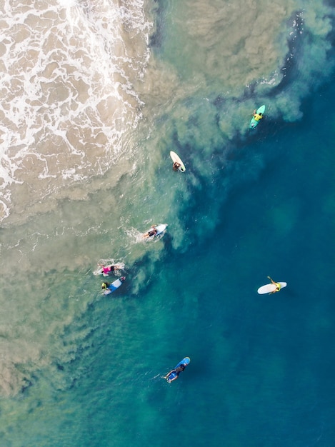 Foto de vista superior de personas con tablas de surf nadando en la playa de Varkala