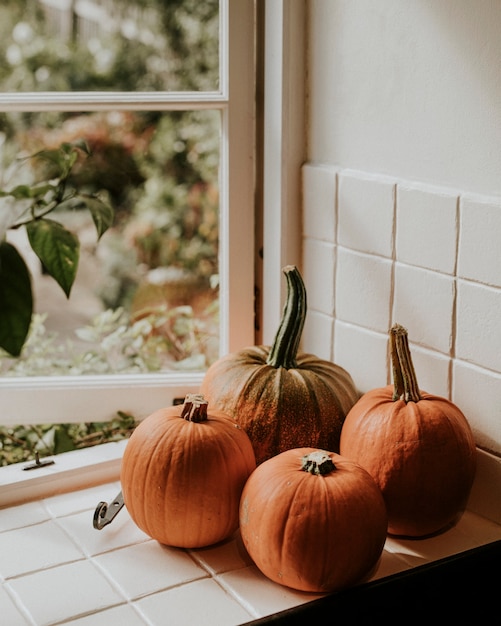 Fotografía de alimentos de fondo de calabazas recién cosechadas