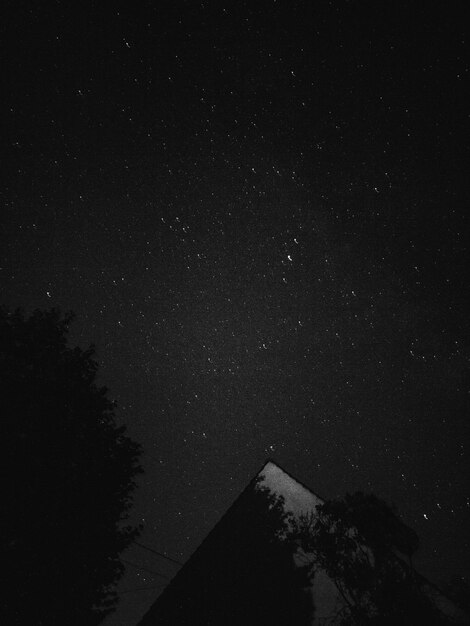 Fotografía en blanco y negro del cielo nocturno