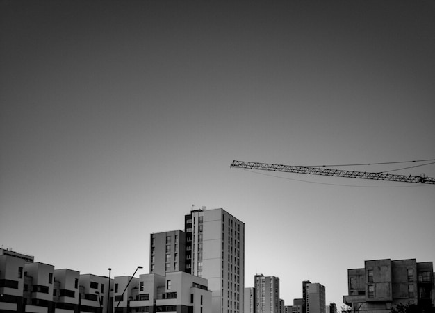 Fotografía en blanco y negro de edificios y grúas.