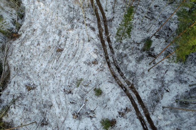 Fotografía cenital de un bosque lleno de árboles verdes cubiertos de nieve