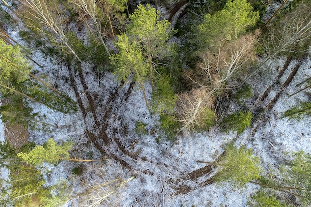 Fotografía cenital de un campo agrícola en el campo