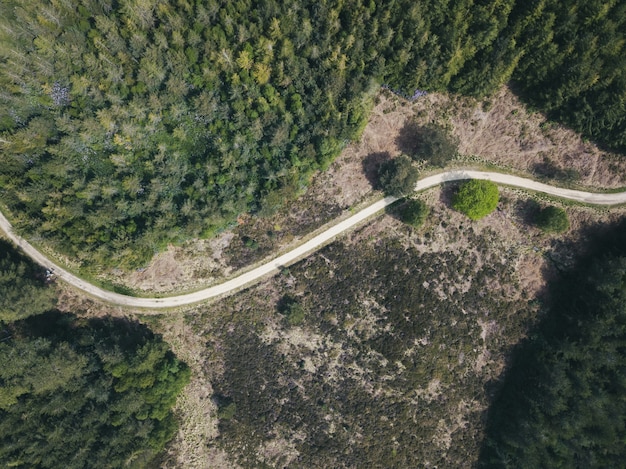 Fotografía cenital de una carretera estrecha en un bosque en un bosque de Puddletown en Dorset, Reino Unido