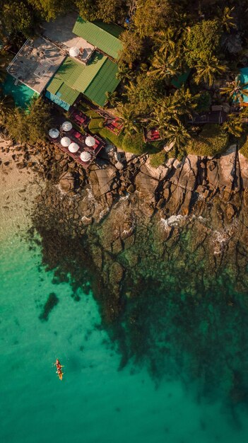 Fotografía cenital vertical de un mar con árboles y casas a la orilla del mar