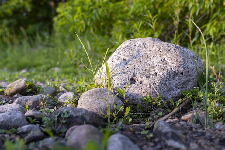 Foto gratuito fotografía de enfoque selectivo de rocas con fondo arbustivo