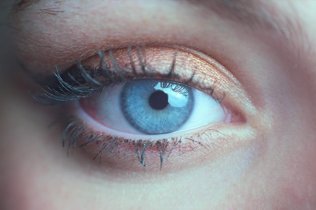 Fotografía macro de un hermoso ojo azul verdoso de una mujer con delineador de ojos de ala