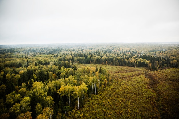 Foto gratuita fotografía de la naturaleza desde el aire