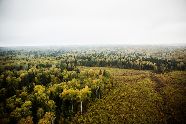 fotografía de la naturaleza desde el aire