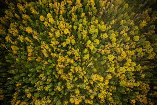 fotografía de la naturaleza desde el aire