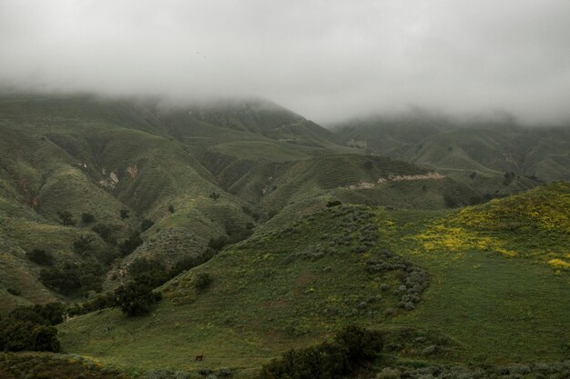 Fotografía de paisaje de fondo de montañas verdes brumosas