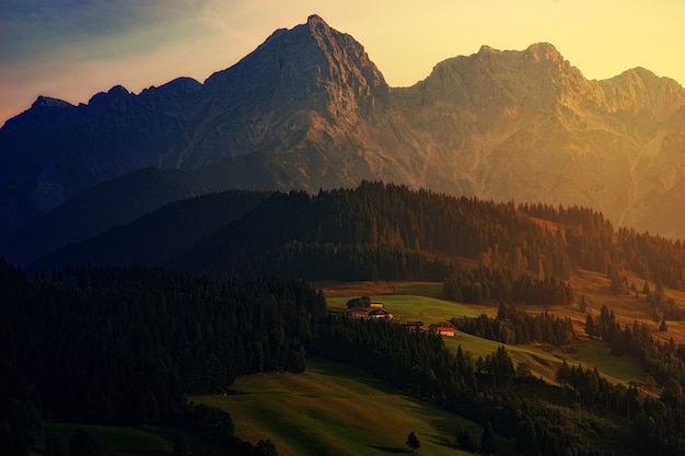 Fotografía de paisaje de montaña y bosque.