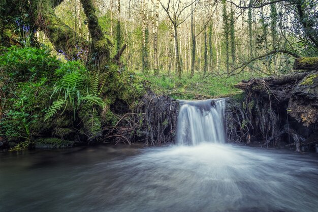 Fotografía secuencial de la cascada durante el día.