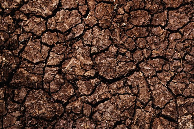 Fotografía de la superficie del suelo marrón seco agrietado