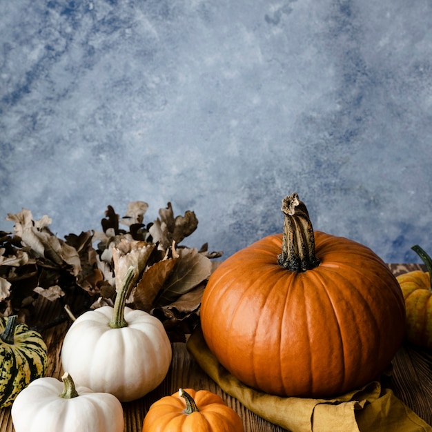 Foto gratuita fotografía de vegetales orgánicos de calabazas de jack o 'lantern