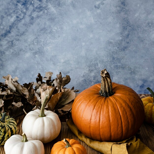 Fotografía de vegetales orgánicos de calabazas de Jack o 'Lantern