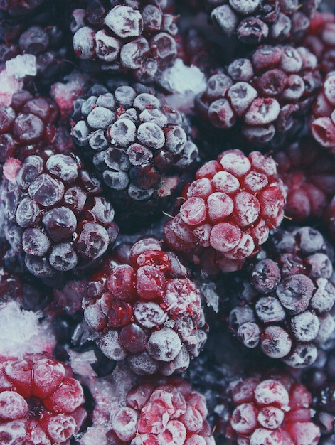 Frambuesas rojas y negras congeladas.