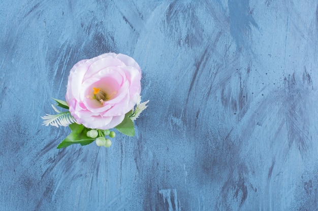 Foto gratuita frasco de vidrio de una sola flor rosa con hojas en azul.