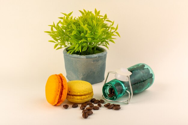 Un frasco de vista frontal con macarons de café francés y planta verde en la superficie rosa