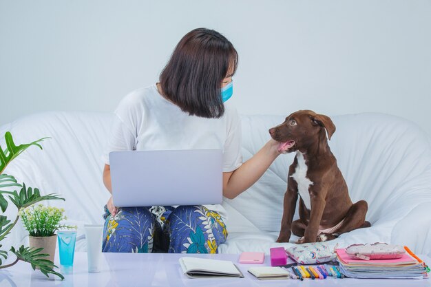 Foto gratuita freelance, trabajo desde casa: una mujer joven está trabajando cerca de un perro en un sofá en casa.