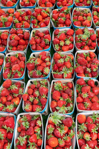 Foto gratuita fresa en el mercado francés