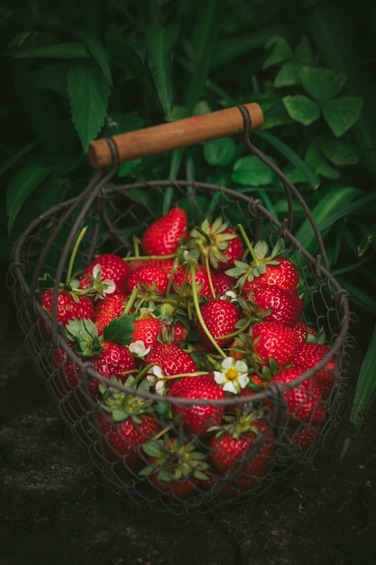 Foto gratuita fresas en canasta de metal