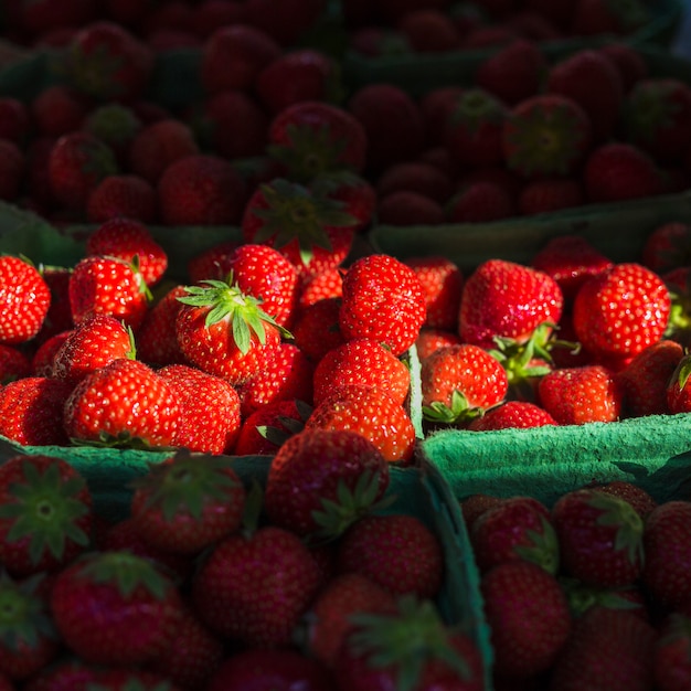 Fresas jugosas frescas en la caja verde