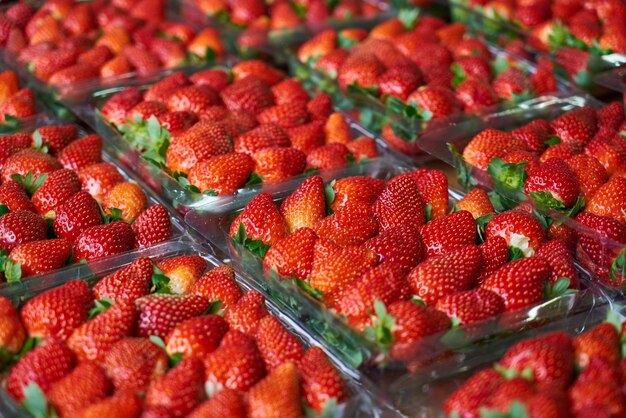 Fresas maduras listas para comer