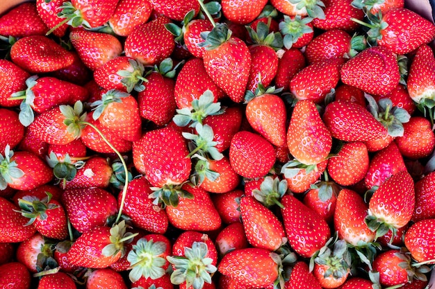 fresas superficie fresa