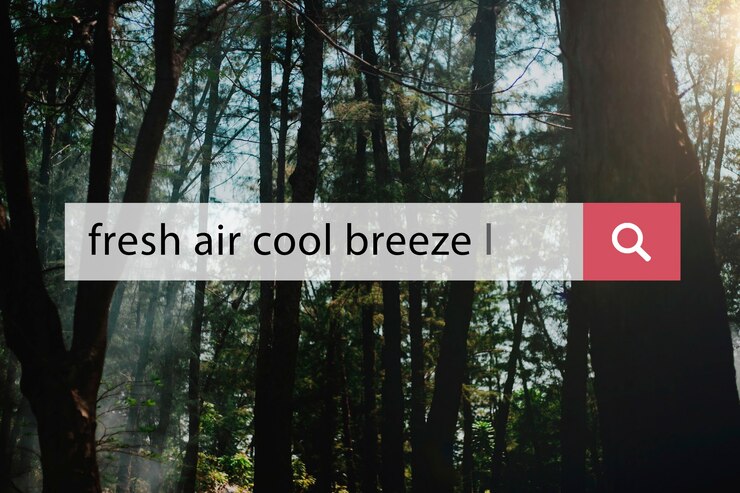 Foto gratuito fresh air cool breeze vacaciones vacaciones relajación