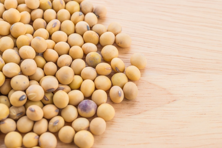 Foto gratuito los frijoles de soya