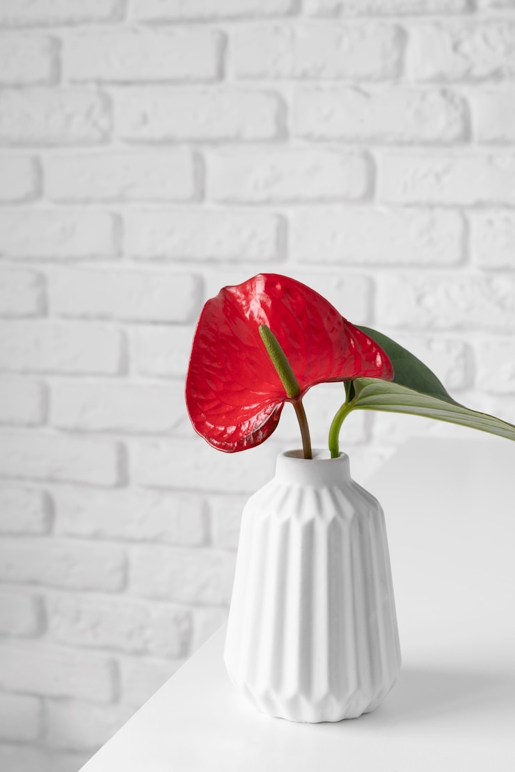 Photo Gratis front view minimal tropical plant composition