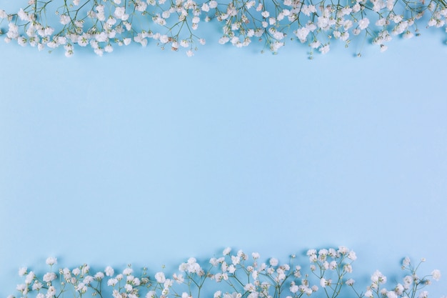 La frontera de la flor de la respiración del bebé blanco en fondo azul con el espacio de la copia para escribir el texto