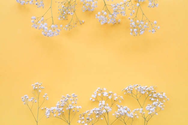 Frontera de flores blancas sobre el fondo amarillo