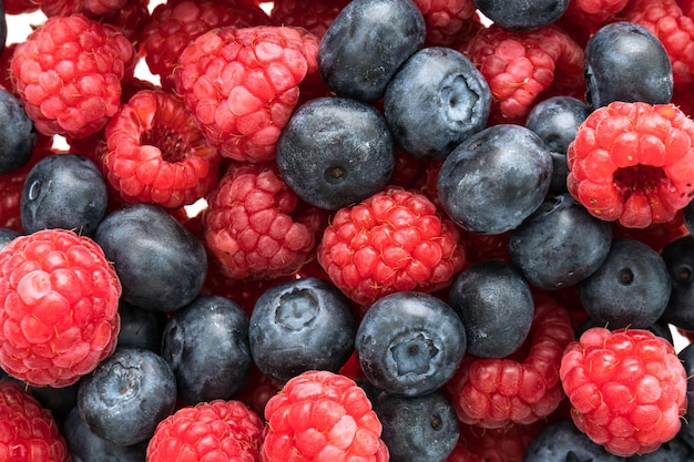 Fruta de Arándano y Rasberry