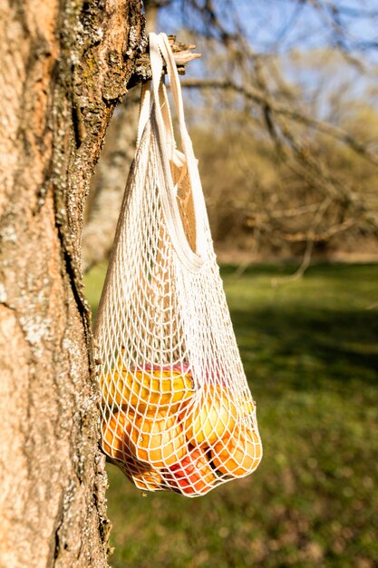 Fruta en una bolsa dejada en un árbol