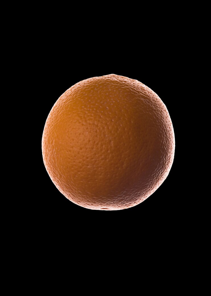 Foto gratuito fruta fresca de naranja aislada sobre negro