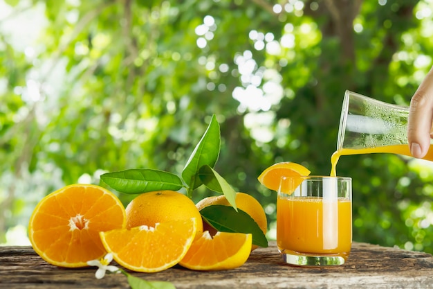 Fruta fresca de naranja jugosa sobre la naturaleza verde