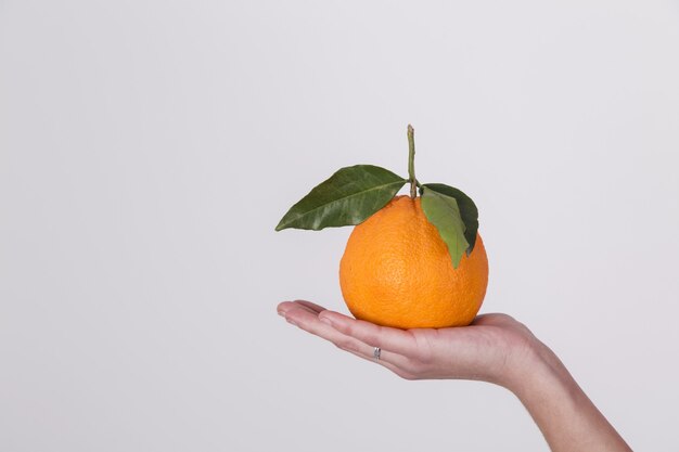 Fruta naranja orgánica fresca en la palma de la mano de una mujer aislada sobre fondo blanco