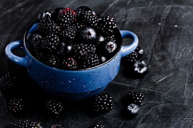 Foto gratuita frutas del bosque negro de alto ángulo en maceta