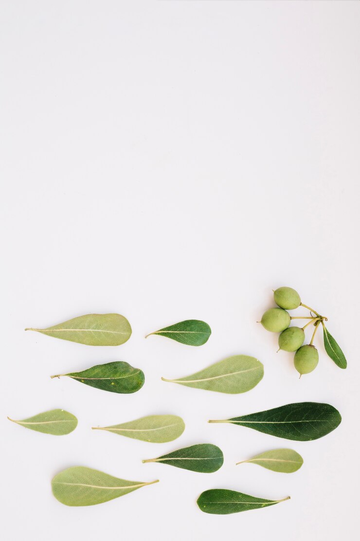 Foto gratuito frutas de plantas cerca de las hojas