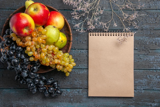 Frutas de la vista superior en un tazón de fuente de uvas blancas y negras limas manzanas peras junto al cuaderno de crema y ramas de los árboles en la superficie gris