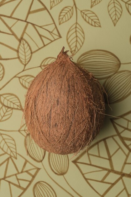 Fruto de coco aislado