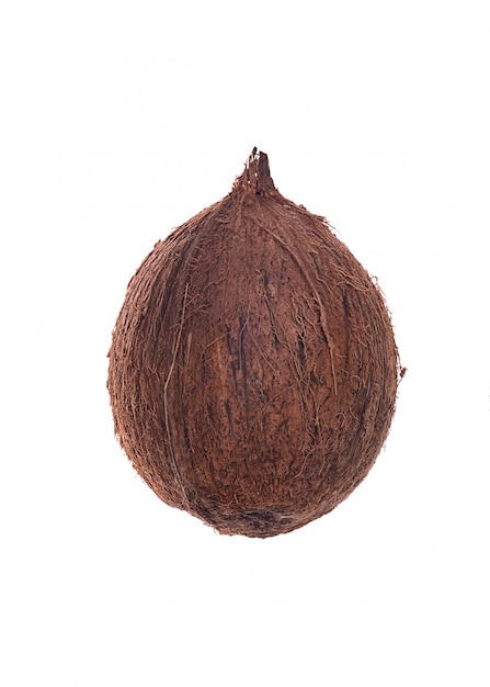 Fruto de coco sobre blanco