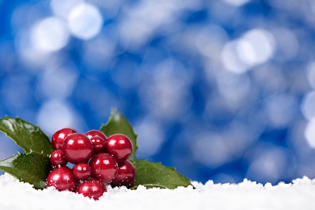 Foto gratuita frutos rojos de navidad sobre la nieve