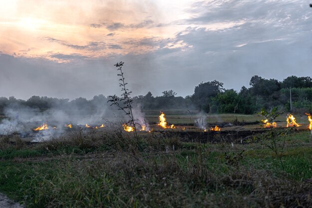 Fuego en la estepa, la hierba arde destruyendo todo a su paso.