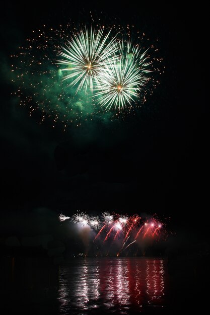 Fuegos artificiales adornando el cielo