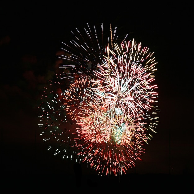 Fuegos artificiales agradable concentración de colores.