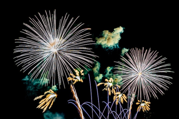Fuegos artificiales en el cielo nocturno en blanco, espectáculo para celebración