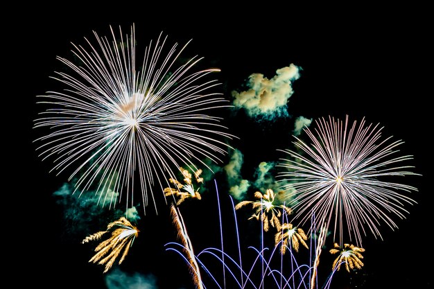 Fuegos artificiales en el cielo nocturno en blanco, espectáculo para celebración