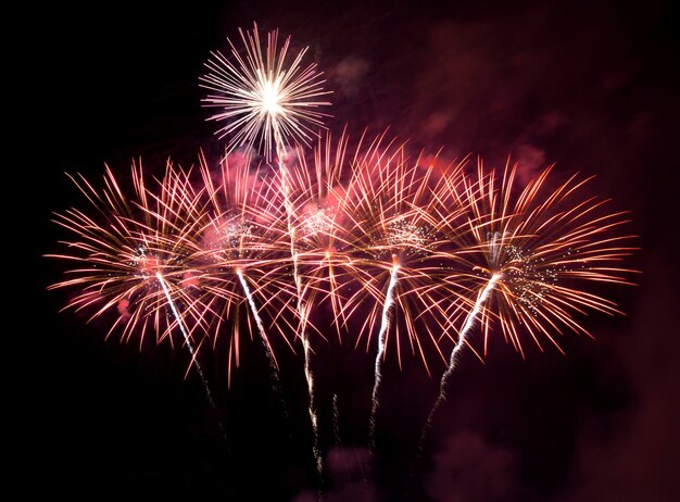 Fuegos artificiales en el cielo oscuro de fondo